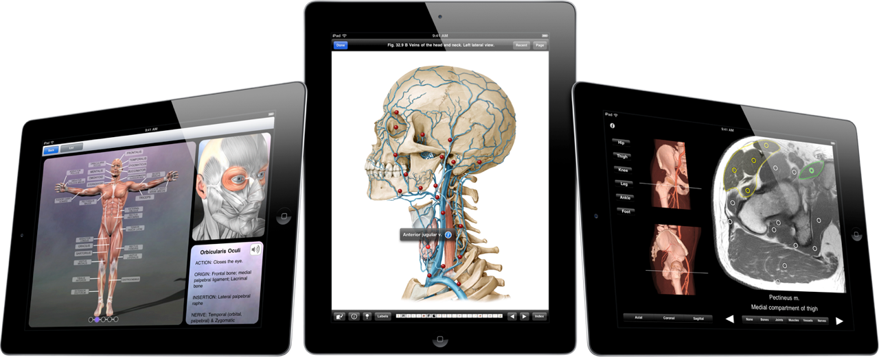 iPad_MedicalImage